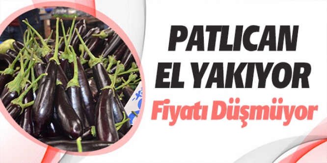 PATLICAN EL YAKIYOR