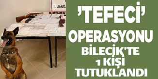 'TEFECİ' OPERASYONU, BİLECİK'TE 1 KİŞİ TUTUKLANDI