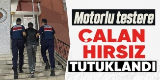 MOTORLU TESTERE ÇALAN HIRSIZ TUTUKLANDI